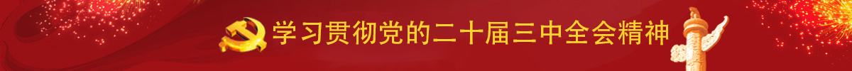 学习贯彻宣传党的二十大精神